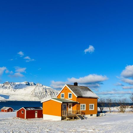 Lillevik Lofoten Gimsoy Экстерьер фото