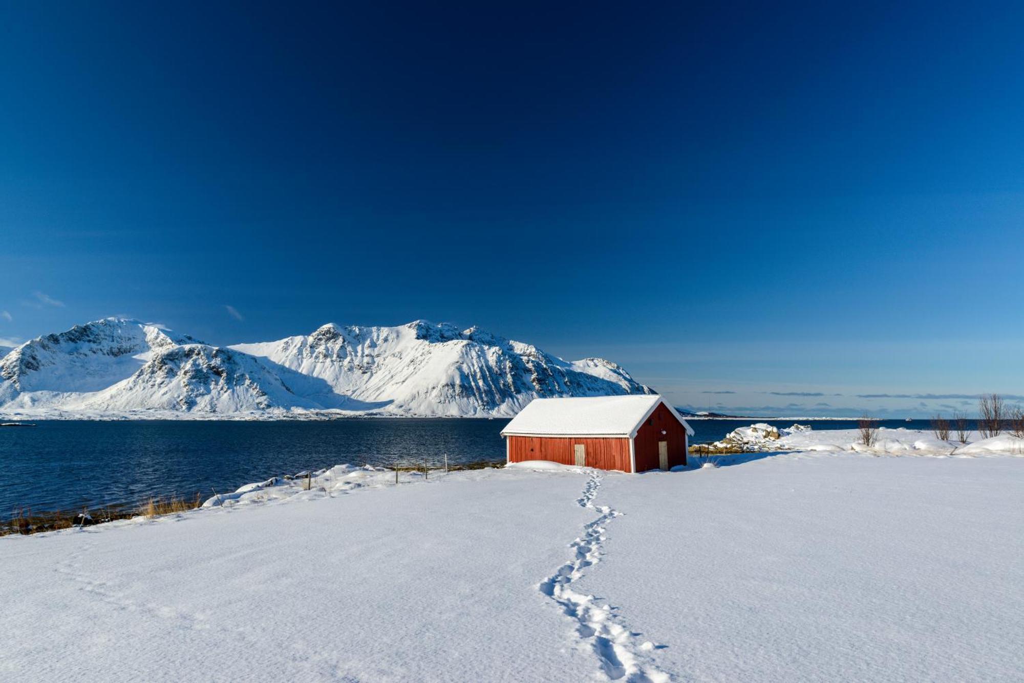Lillevik Lofoten Gimsoy Экстерьер фото