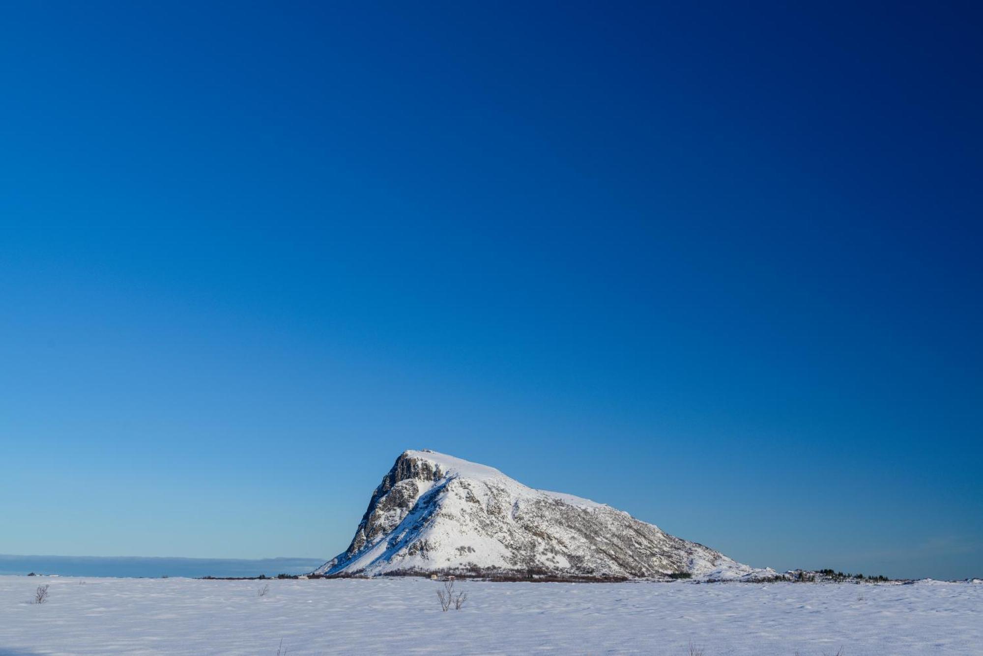 Lillevik Lofoten Gimsoy Экстерьер фото