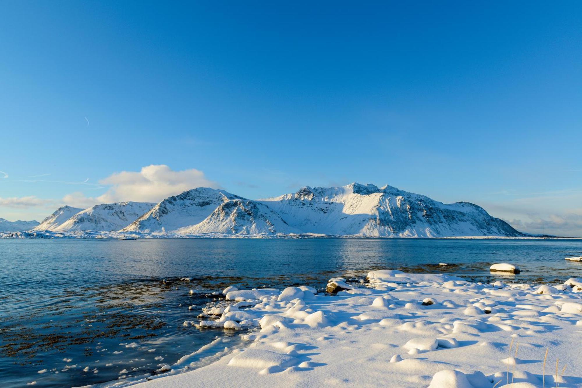 Lillevik Lofoten Gimsoy Экстерьер фото