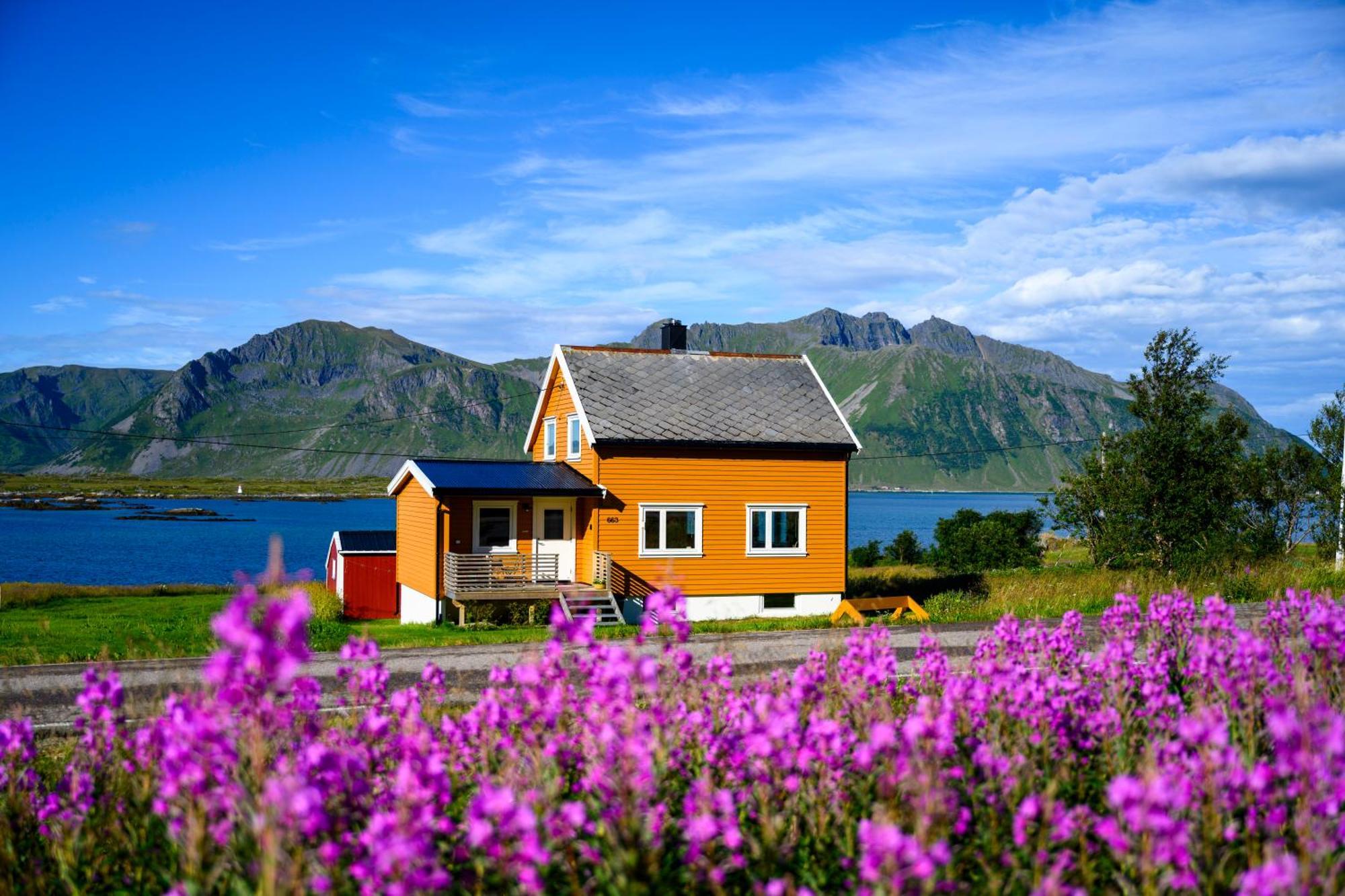 Lillevik Lofoten Gimsoy Экстерьер фото